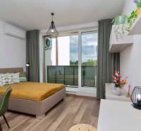 Novostavba 1 izbový byt, Bernolákovská ulica, Ivanka pri Dunaji - 1-izbový byt s podlahou s dreveným dekorom, moderným osvetlením a výhľadom na terasu.