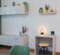 Novostavba 1 izbový byt, Bernolákovská ulica, Ivanka pri Dunaji - Minimalistický interiér s podlahou s dreveným dekorom a nábytkom v 1-izbovom byte.