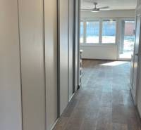 Rodinný dom na Devätinovej ulici na prenájom - Chodba v rodinnom dome s podlahou s dreveným dekorom, veľké okná, vstavané skrine.