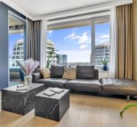 Predaj luxusný 2-izbový byt, 52 m2, Továrenská ul, SKY PARK - Obývacia izba v 2-izbovom byte s čiernou pohovkou, kávovým stolíkom a výhľadom na mesto.