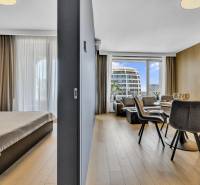 Predaj luxusný 2-izbový byt, 52 m2, Továrenská ul, SKY PARK - Interiér 2-izbového bytu s podlahou s dreveným dekorom a výhľadom na mesto.