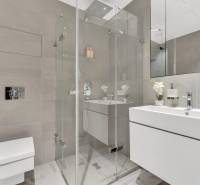 Predaj luxusný 2-izbový byt, 52 m2, Továrenská ul, SKY PARK - Kúpeľňa v 2-izbovom byte s preskleným sprchovým kútom a svetlými obkladmi.