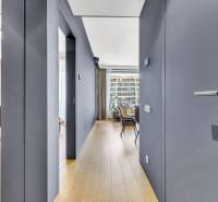 Predaj luxusný 2-izbový byt, 52 m2, Továrenská ul, SKY PARK - Chodba 2-izbového bytu s podlahou s dreveným dekorom a výhľadom do exteriéru.