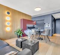 Predaj luxusný 2-izbový byt, 52 m2, Továrenská ul, SKY PARK - Obývačka v 2-izbovom byte s dekorom dreva a minimalistickým nábytkom.
