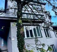 Kancelárske priestory na prenájom, Trenčín, ul. M.R.Štefánika - Budova na ulici M.R.Štefánika v Trenčíne, obklopená stromami, ponúka kancelárske priestory.