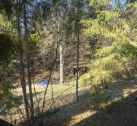 Horská chata na predaj Oščadnica - Lesnaté prostredie okolo chaty v Oščadnici, so stromami a trávnatou plochou.