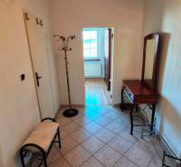 NA PRENÁJOM 1,5 IZBOVÝ, UL. MIEROVÁ - Predsieň v 2-izbovom byte s dlažbou, zrkadlom a kapradím.