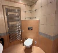 3i byt za cenu 2i bytu, Staré Mesto - Kúpeľňa v 3-izbovom byte s dlažbou, toaletou, rebríkovým radiátorom a sklenenými poličkami.