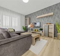 Svetlý 3-izbový byt 90 m² s terasou 18,5 m², 2 garáže, Smaragdová ul. - Obývacia izba s šedou sedačkou, TV a podlahou s dreveným dekorom v 3-izbovom byte.