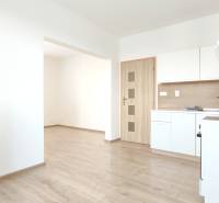 | 2-izbový byt + parking, ul. Východná | Trenčín - Kuchyňa v 2-izbovom byte s linkou a podlahou s dreveným dekorom.