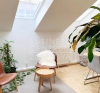 Reprezentatívne kancelárske priestory 121m2, Zochova ul., Staré Mest - Kancelárie s podlahou s dreveným dekorom, rastlinami a strešnými oknami pre denné svetlo.