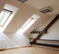 Reprezentatívne kancelárske priestory 121m2, Zochova ul., Staré Mest - Kancelária s podlahou s dreveným dekorom a strešnými oknami, interiér pôsobí priestranne.