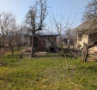 Rodinný dom s veľkou terasou a garážou v  Lastovciach za  73 500 € - Záhrada pri rodinnom dome na Novej ulici v Lastovciach s trávnikom a stromami.