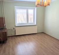 Rodinný dom s veľkou terasou a garážou v  Lastovciach za  73 500 € - Izba v Rodinnom dome s podlahou s dreveným dekorom a oknom s radiátorom.