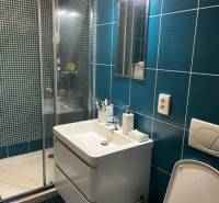 ÚTULNÝ 2 IZBOVÝ BYT - SILVANIUM  - Kúpeľňa v 2-izbovom byte s moderným umývadlom a sprchovacím kútom.