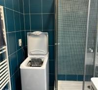 ÚTULNÝ 2 IZBOVÝ BYT - SILVANIUM  - Kúpeľňa v 2-izbovom byte so sprchou a práčkou, obklad z tmavých obkladov.