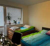 ÚTULNÝ 2 IZBOVÝ BYT - SILVANIUM  - Spálňa v 2-izbovom byte s dvomi jednolôžkami, stolom a izbovými rastlinami.