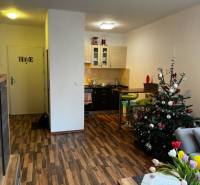 ÚTULNÝ 2 IZBOVÝ BYT - SILVANIUM  - Obývacia izba s kuchynským kútom a vianočným stromčekom v 2-izbovom byte.