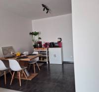 3-izb. byt v obci Blatná na Ostrove, balkón, lodžia, novostavba - Jedálenský kút s dreveným stolom, štyrmi stoličkami a rastlinou v 3-izbovom byte.