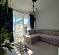 3-izb. byt v obci Blatná na Ostrove, balkón, lodžia, novostavba - Obývačka v 3-izbovom byte s podlahou s dreveným dekorom, veľkou sedačkou a rastlinami.