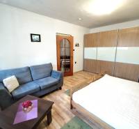 Na prenájom 1-izbový byt - Nové Zámky - 1-izbový byt s podlahou s dreveným dekorom, rozkladacím gaučom a vstavanou skriňou.