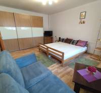 Na prenájom 1-izbový byt - Nové Zámky - Interiér 1-izbového bytu s pohovkou, posteľou, skriňou a podlahou s dreveným dekorom.