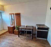 Na prenájom 1-izbový byt - Nové Zámky - Interiér 1-izbového bytu s nábytkom a podlahou s dreveným dekorom.