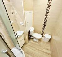 PRENÁJOM GARSÓNKA /20 M2/ SEVER /KOMPLETNE ZARIADENÁ - Kompaktná kúpeľňa v garsónke s toaletu, sprchovým kútom a podlahou s dreveným dekorom.