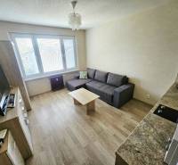PRENÁJOM GARSÓNKA /20 M2/ SEVER /KOMPLETNE ZARIADENÁ - Garsónka s podlahou s dreveným dekorom, pohovkou a TV priestorom.