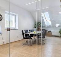 NA PRENÁJOM-Kancelársky priestor-Košice-Staré mesto,Masarykova ul. - Sklenené steny, podlaha s dreveným dekorom a schody v kancelárii.