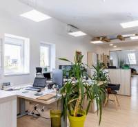 NA PRENÁJOM-Kancelársky priestor-Košice-Staré mesto,Masarykova ul. - Osvetlené kancelárie s počítačmi, rastlinami a podlahou s dreveným dekorom.