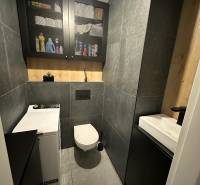 Na predaj moderný 2-izbový byt po kompletnej rekonštrukcii – Piešťany - Kúpeľňa s toaletou v 2-izbovom byte, obklady, skrinka, práčka a úložný priestor.