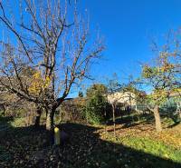 * na predaj 3i rodinný dom, 6á pozemok, Čataj - Záhrada v meste Čataj s trávnikom a ovocnými stromami pri rodinnom dome.