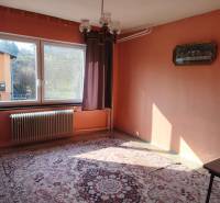 5 izbový dom Mankovce - Miestnosť v rodinnom dome s kobercom, lustrom, oknom a radiátorom, teplé farebné steny.