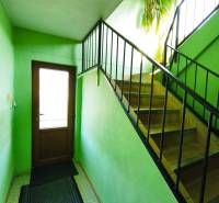 5 izbový dom Mankovce - Interiér rodinného domu s drevenými schodmi, zelenými stenami a rastlinou.