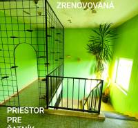 5 izbový dom Mankovce - Interiér Rodinného domu s mriežkovým zábradlím, zelenými stenami a kvetom pri schodoch.