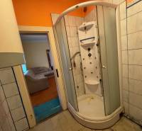NA PREDAJ!!! Rodinný dom s veľkým pozemkom v obci Vék pri Hurbanove - Kúpeľňa s hydromasážnym sprchovacím kútom v rodinnom dome, videt obývačku s pohovkou.