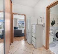 Na predaj príjemný zariadený 1 izbový byt na ulici Antolská, Petržalka - V interiéri 1-izbového bytu sú viditeľné chodba, kúpeľňa a obývací priestor.