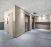 Na predaj príjemný zariadený 1 izbový byt na ulici Antolská, Petržalka - Vstupná hala s výťahmi, modrá podlaha, osvetlené stropy.