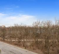 Na predaj príjemný zariadený 1 izbový byt na ulici Antolská, Petržalka - Pohľad z Antolskej ulice v Bratislave, Petržalke na les a paneláky, 1-izbový byt.