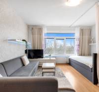 Na predaj príjemný zariadený 1 izbový byt na ulici Antolská, Petržalka - Obývacia izba s pohovkou, závesom a televíziou, podlaha s dreveným dekorom.