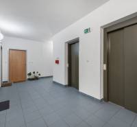 Na predaj príjemný zariadený 1 izbový byt na ulici Antolská, Petržalka - Vstupná chodba s výťahmi a dverami v 1-izbovom byte, podlaha s dlaždicami.