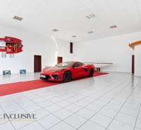 Na prenájom obchodný priestor s kanceláriou, Štúrovo - Obchodné priestory zobrazujú auto a loď s bielou podlahou a športovým príslušenstvom.