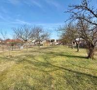 * 7i rodinný dom, veľký 33.5á pozemok, Brestovany - Záhrada s trávnikom a stromami v blízkosti rodinného domu na ulici Joža Nižnanského v Brestovanoch.