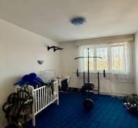 * 7i rodinný dom, veľký 33.5á pozemok, Brestovany - Izba v rodinnom dome s modrým kobercom, detskou postieľkou a cvičebným vybavením.