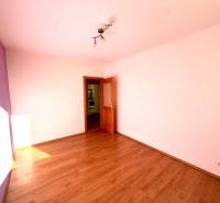 Zrekonštruovaný 3i byt na začiatku Petržalky, električka, les, výhľady - Izba s podlahou s dreveným dekorom v 3-izbovom byte, pastelové steny, stropné svietidlo.