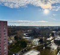 Zrekonštruovaný 3i byt na začiatku Petržalky, električka, les, výhľady - Výhľad na park a obytné domy z bytu na Osuského v Petržalke.