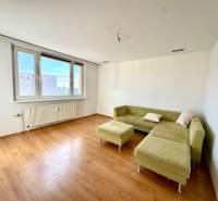 Zrekonštruovaný 3i byt na začiatku Petržalky, električka, les, výhľady - Obývacia izba v 3-izbovom byte s podlahou s dreveným dekorom a zelenou sedačkou.