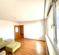 Zrekonštruovaný 3i byt na začiatku Petržalky, električka, les, výhľady - Obývacia izba s podlahou s dreveným dekorom, zelenou sedačkou a veľkými oknami v 3-izbovom byte.