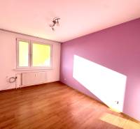 Zrekonštruovaný 3i byt na začiatku Petržalky, električka, les, výhľady - Izba s fialovou stenou a podlahou s dreveným dekorom v 3-izbovom byte.